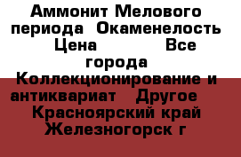 Аммонит Мелового периода. Окаменелость. › Цена ­ 2 800 - Все города Коллекционирование и антиквариат » Другое   . Красноярский край,Железногорск г.